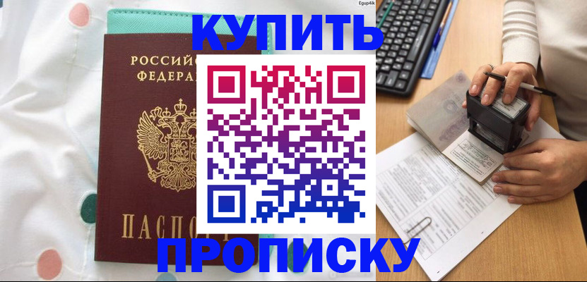 прописка в квартире в Барыше